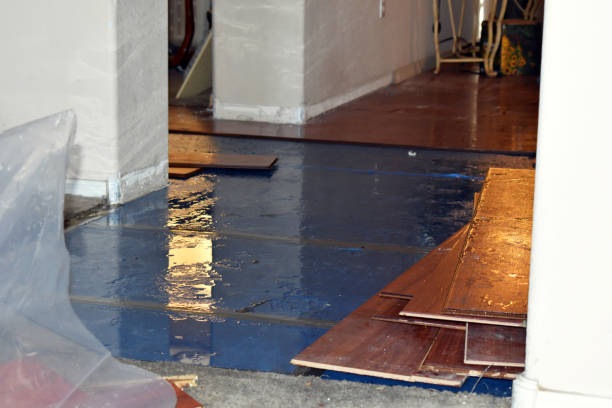 Professional Burst Pipe Cleanup technician working in Unionville, MI
